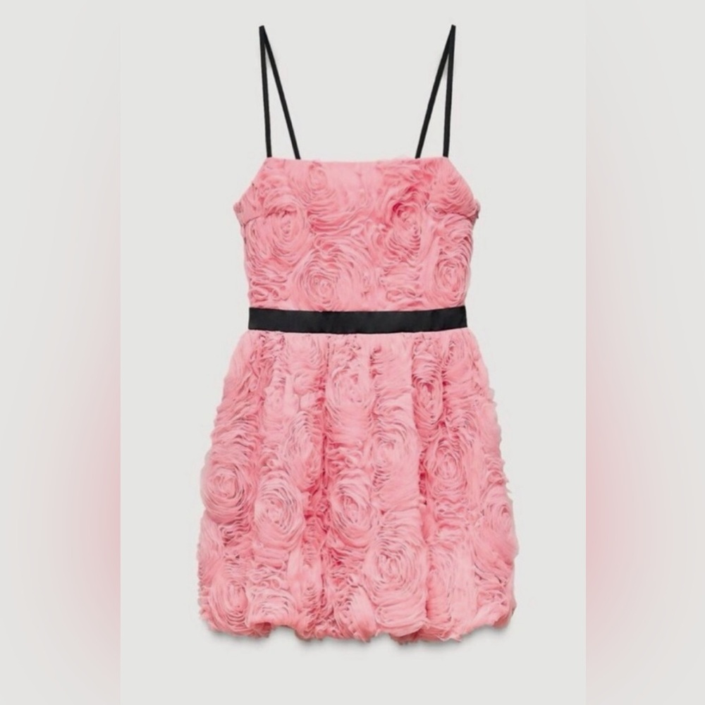 Zara Pink Rosette Mini Dress